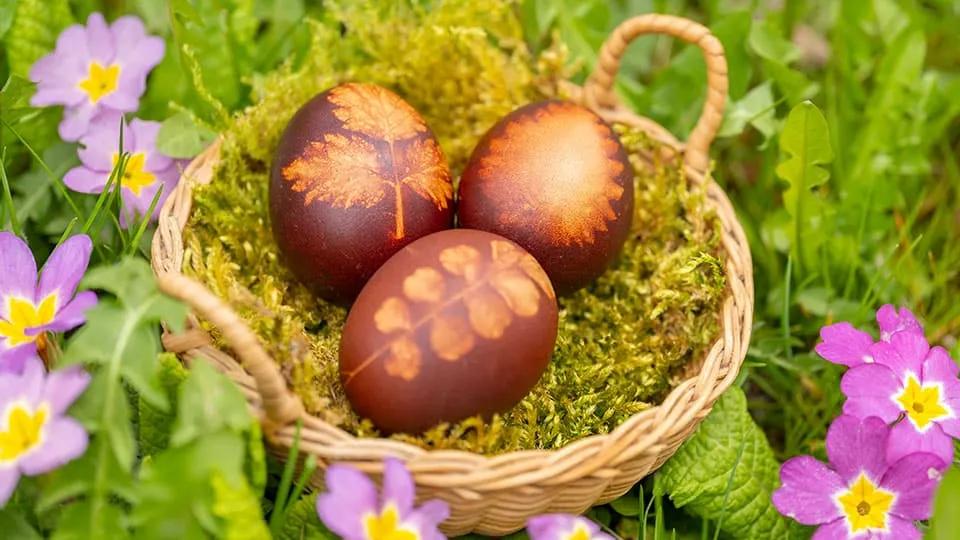 Eier färben mit Zwiebelschalen und Wildkräuter - Kräuterkeller