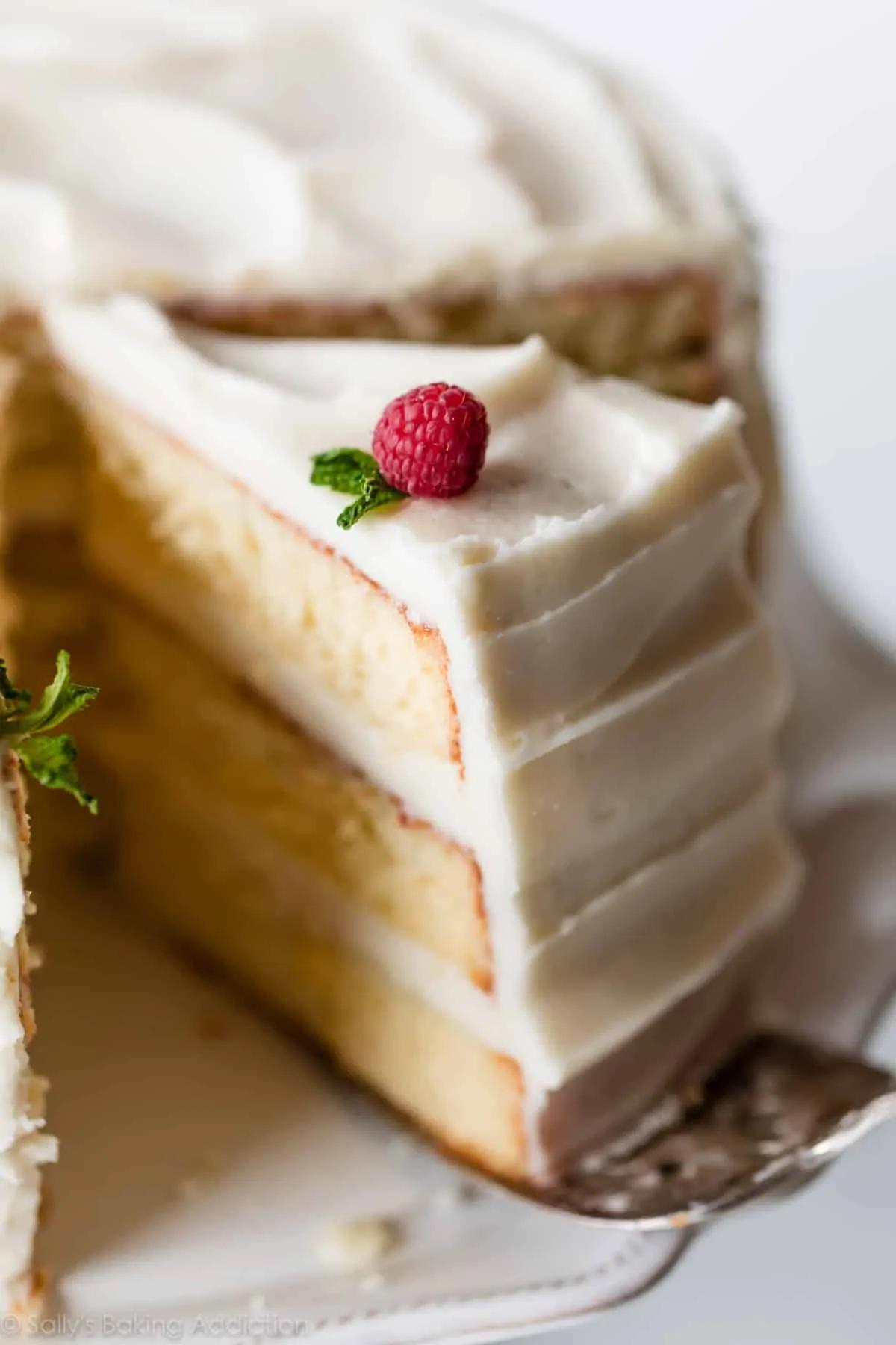 The Best Vanilla Cake I&amp;#39;ve Ever Had - Sally&amp;#39;s Baking Addiction (2022)