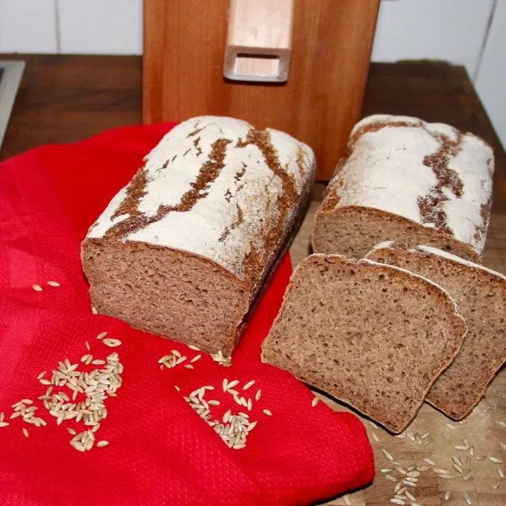 Roggenbrot mit langer Teigführung / Ohne Backhefe /Ohne FODMAPs