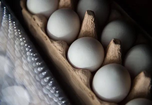 Bilderstrecke zu: Lebensmittelskandal: Aldi, Lidl und Rewe nehmen Eier ...