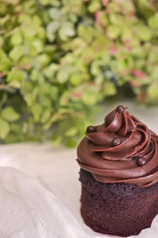 chocolate ganache frosting | Chocolate cupcakes, Dark chocolate ...