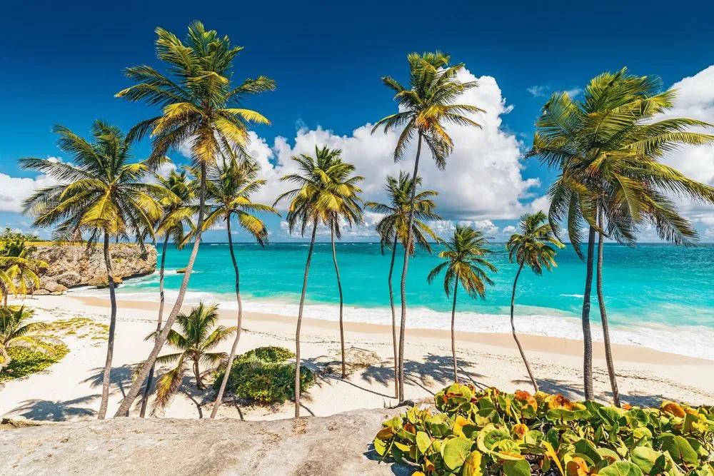 Karibik Barbados Foto &amp; Bild | landschaft, urlaub, sommer Bilder auf ...