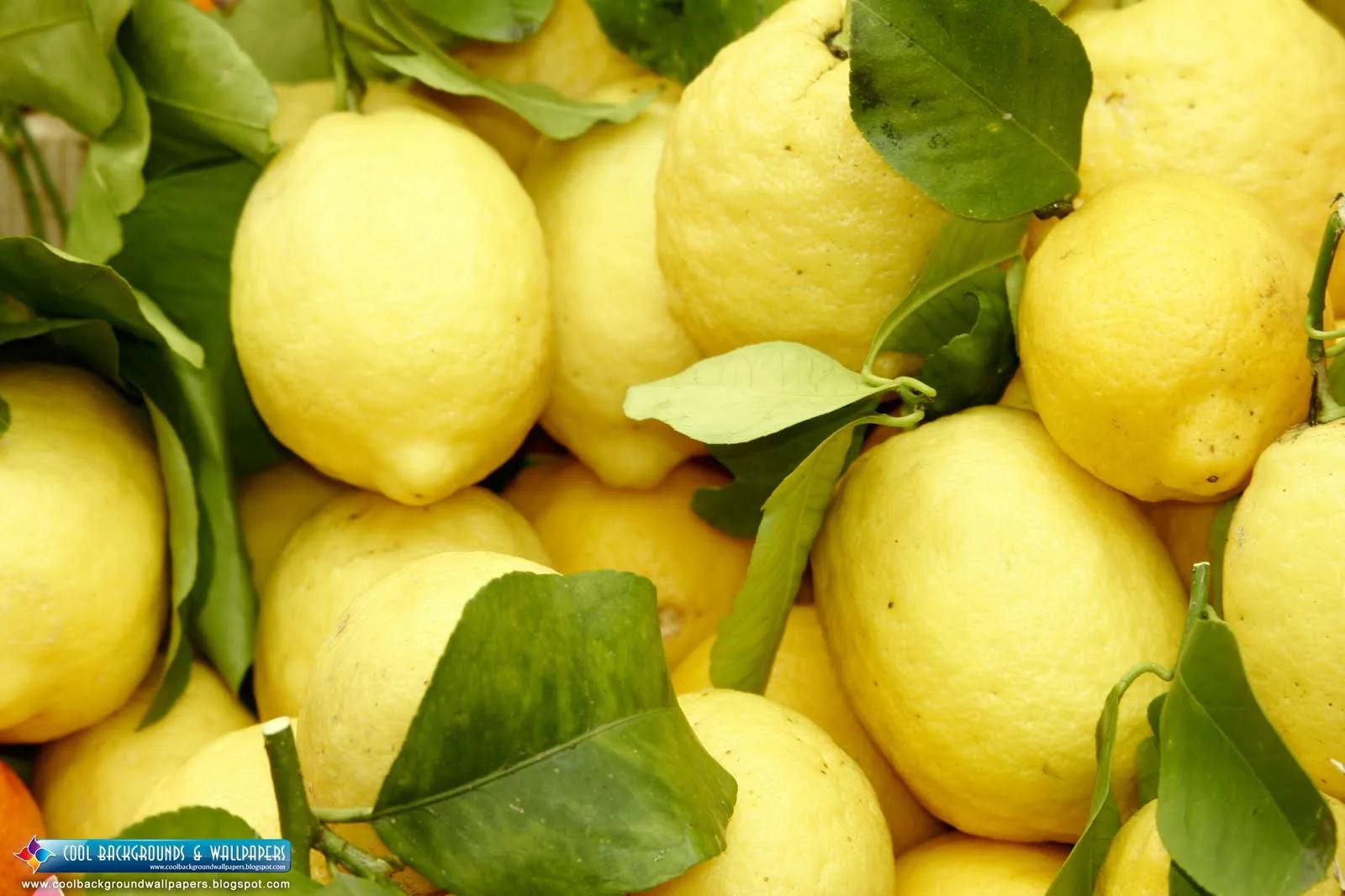NIm 2011: Fresh Lemon HD Wallpapers