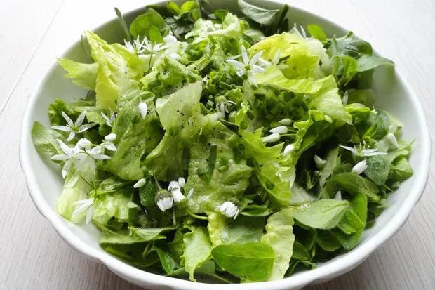 Grüner Salat mit Bärlauch - Rezept