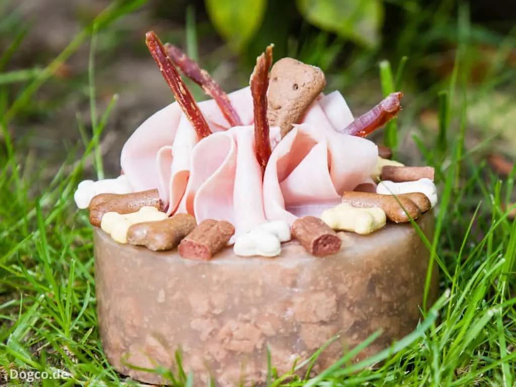 Hunde Geburtstagskuchen: Leckere Torten Rezepte selberbacken