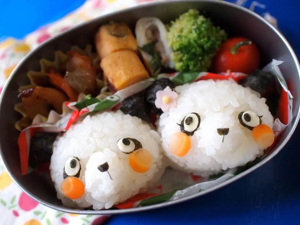 panda onigiri bento | Kawaii bento, Cute bento, Fun kids food