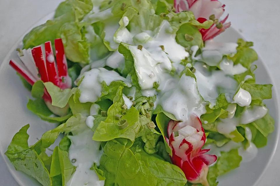 Grüner Salat mit Joghurtsoße von motte1168 | Chefkoch.de