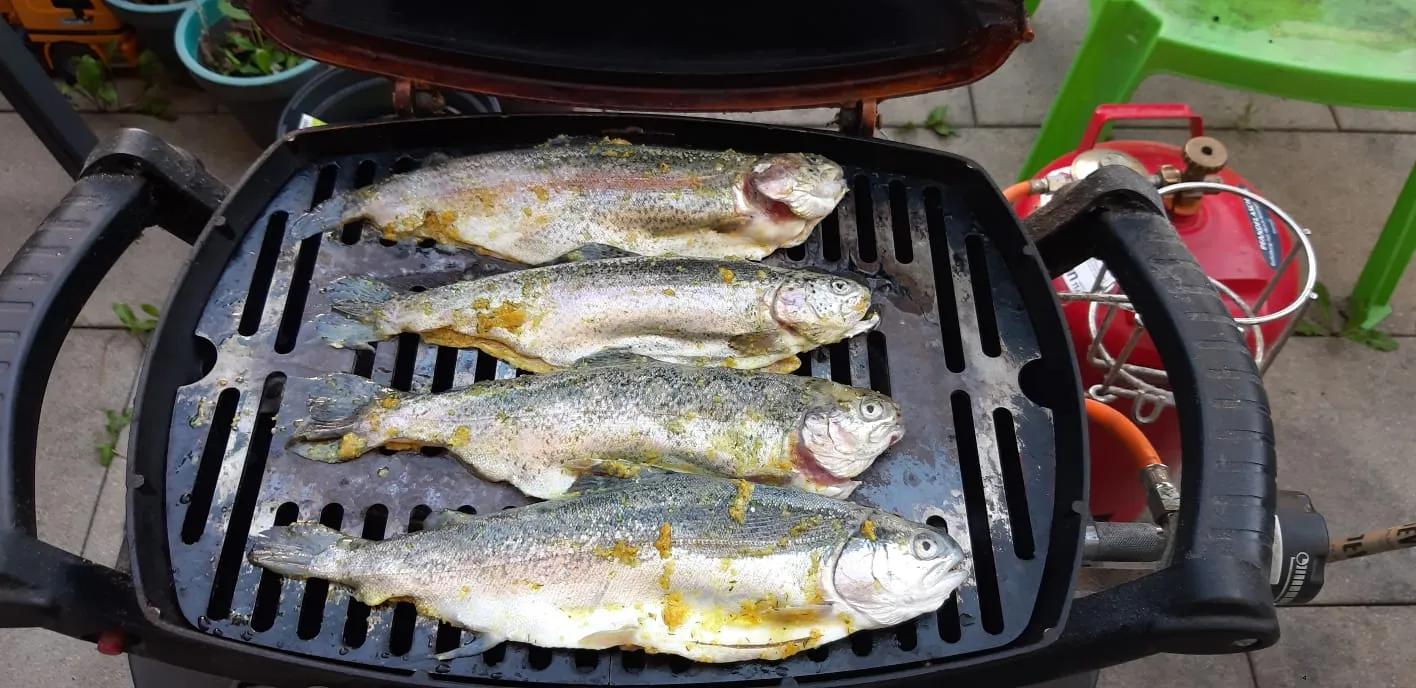 [Fisch und Meeresfrüchte-WE] Forellen vom Grill | Grillforum und BBQ ...