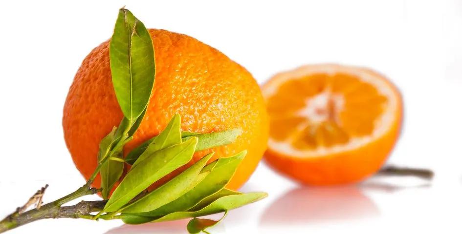 200+ kostenlose Apfelsinen und Orangenbaum-Bilder - Pixabay