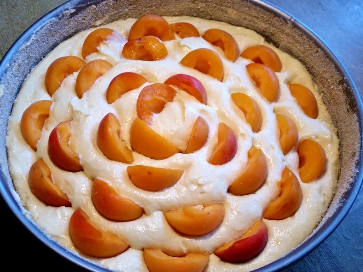 Aprikosen-Eierlikör-Kuchen - Rezept mit Bild - kochbar.de
