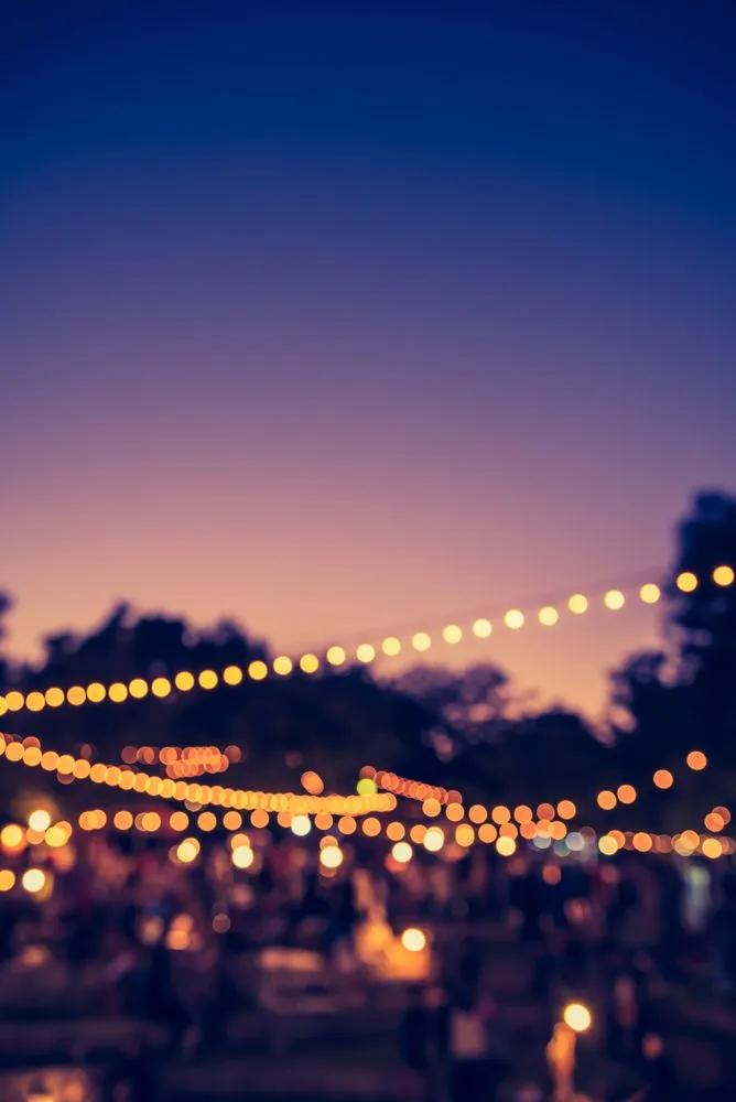 Sunset garden party lights | Forest sunset, Sunset party, Outdoor party ...