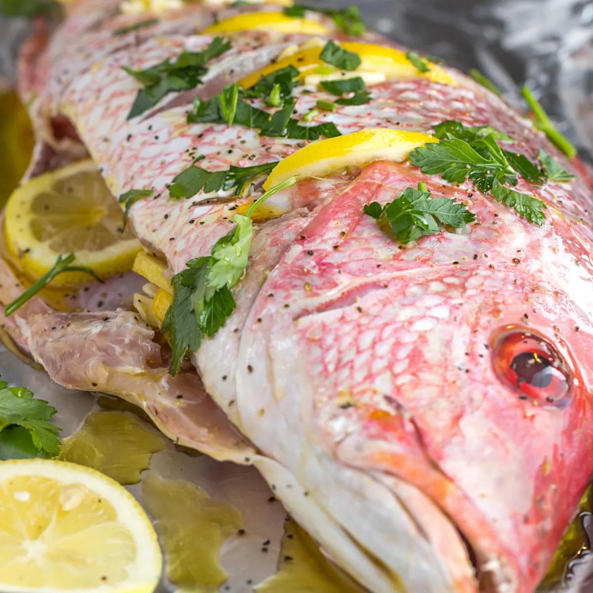Whole Grilled Red Snapper | recteq