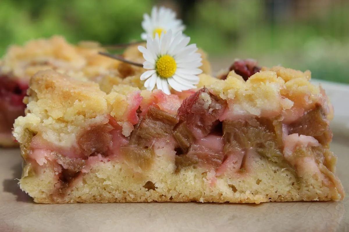 Rhabarberkuchen mit Streusel – saftig, süß und erfrischend | Rezept ...