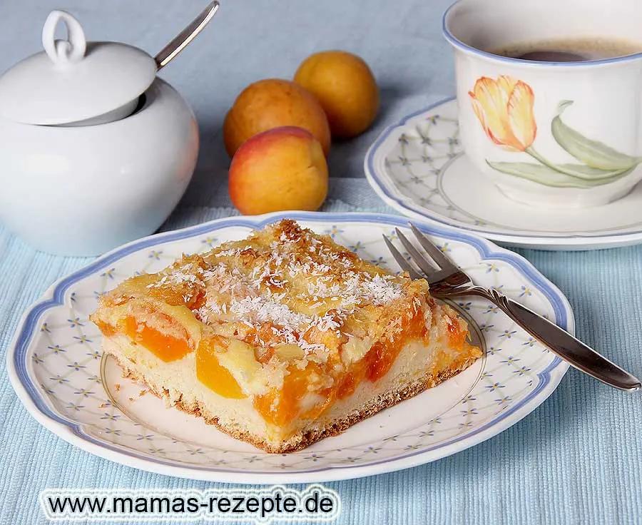 Aprikosen-Kokos-Kuchen vom Blech | Mamas Rezepte - mit Bild und ...
