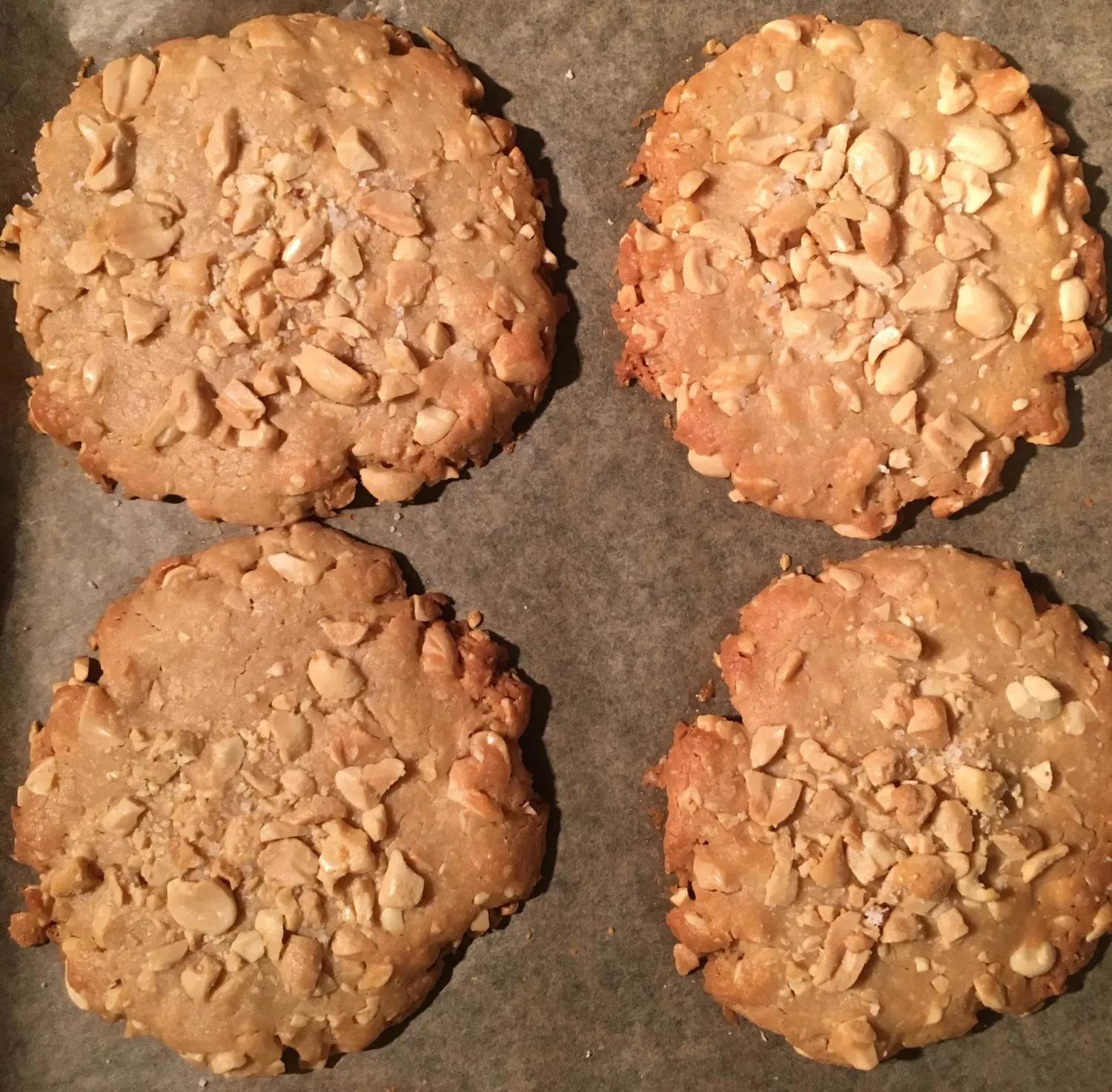 Gesalzene Erdnuss-Cookies - NichtFisch // NichtFleisch
