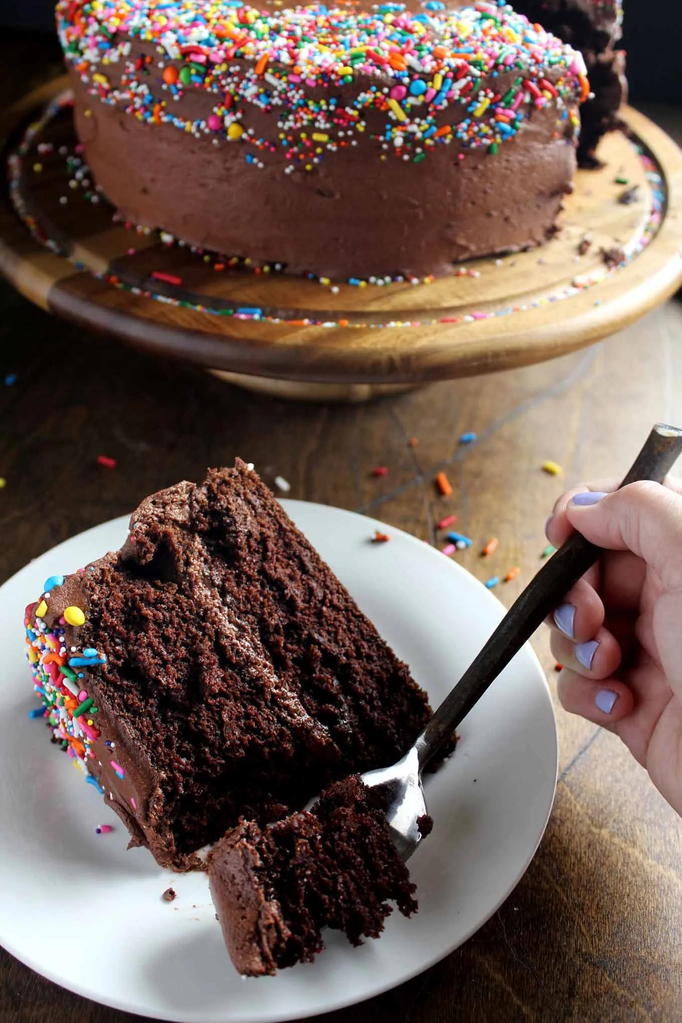 Classic Chocolate Birthday Cake | wyldflour