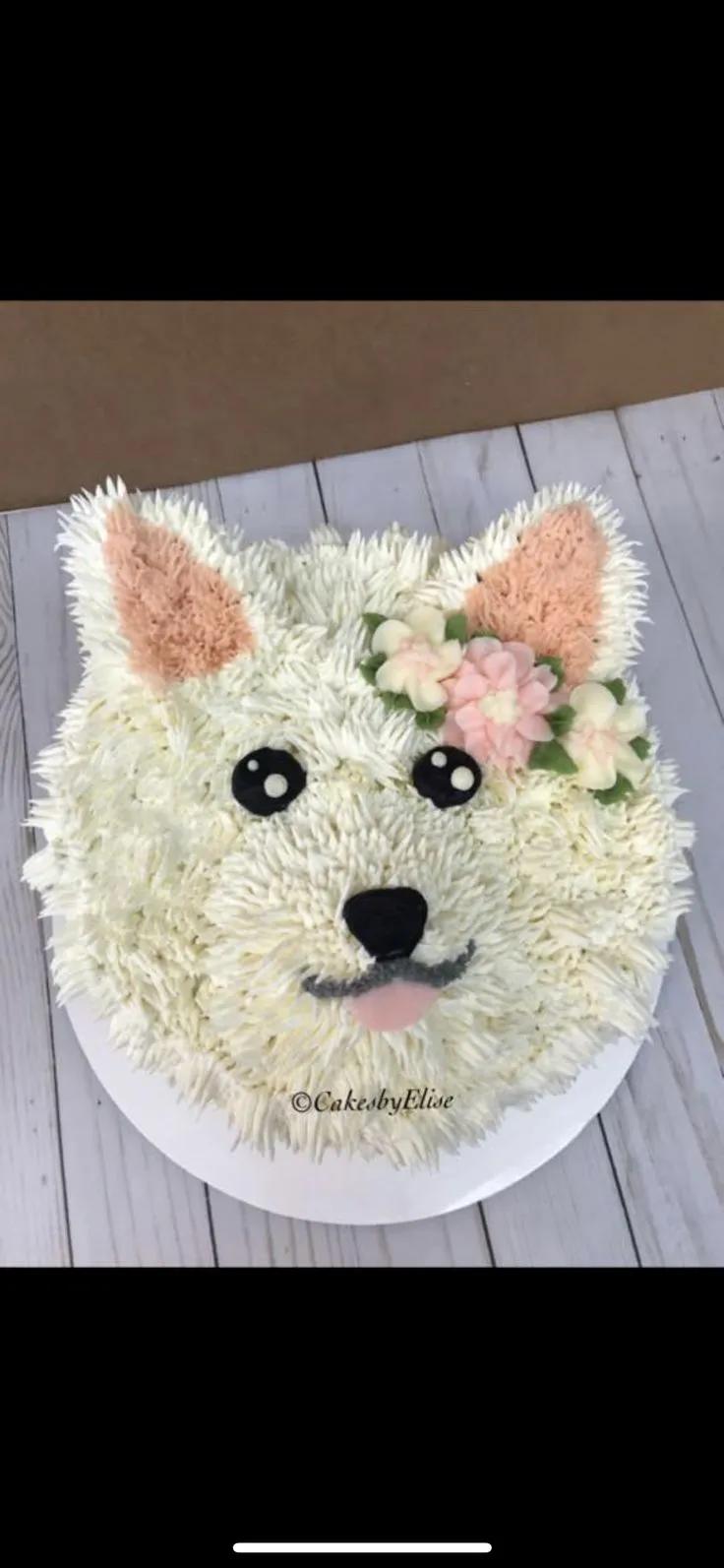 Dog birthday cake | Geburtstagskuchen für hunde, Geburtstagskuchen ...