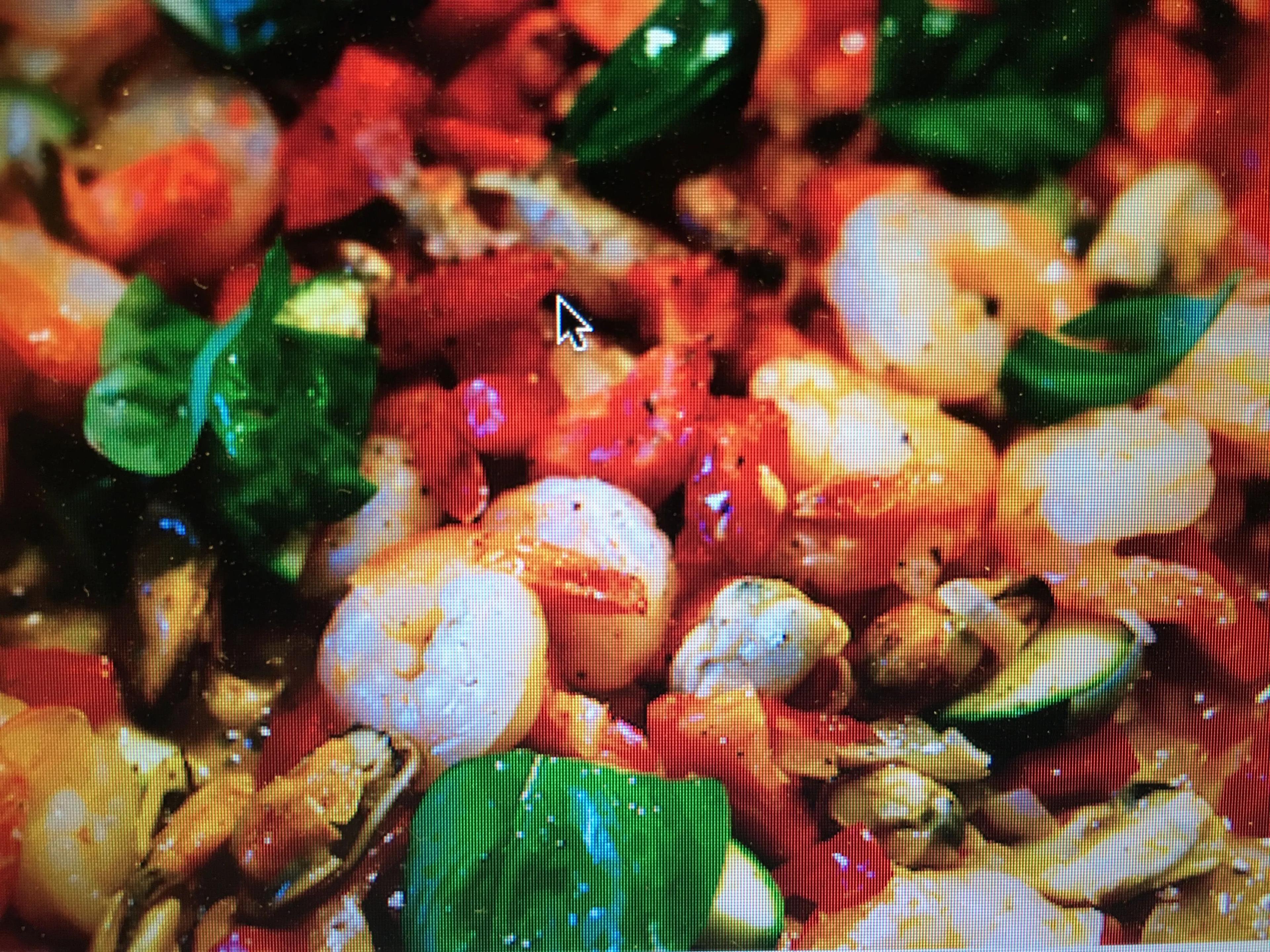 Meeresfrüchte Salat | Meeresfrüchte, Salat und Küche