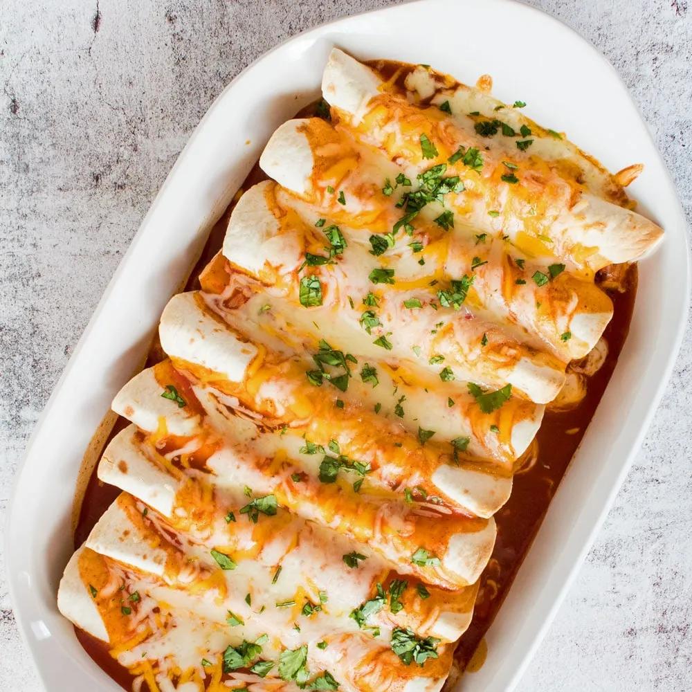 Best Shredded Chicken Enchiladas: Easy Family Dinner Recipe