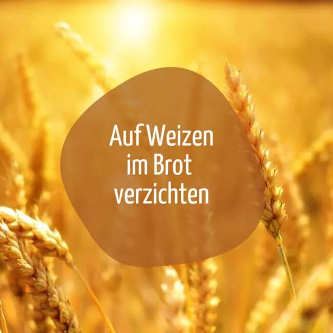 11 leckere Brotrezepte ohne Weizenmehl von brooot.de