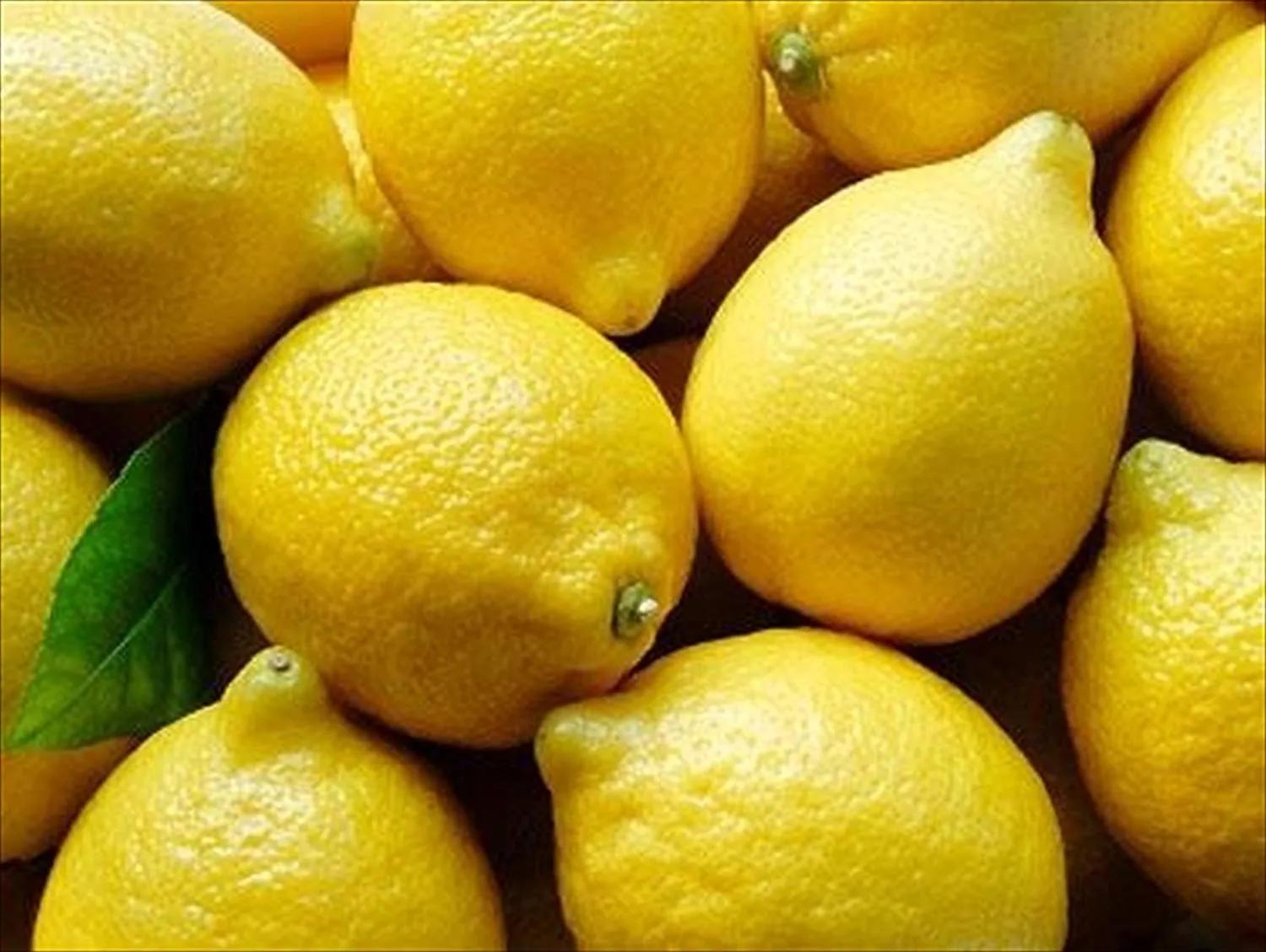 Lemon Manufacturers, Fresh Lemon Suppliers, Natural Yellow Lemon