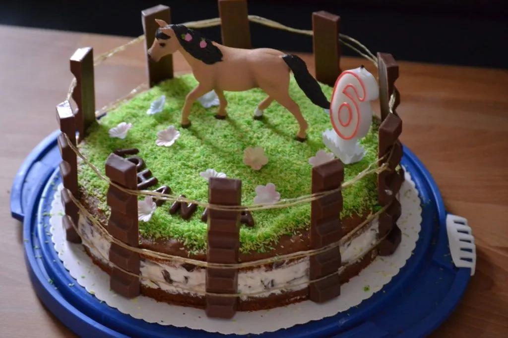 Die Pferdekoppel Torte - Überasche dein Kind - Feste im Vest | Kinder ...
