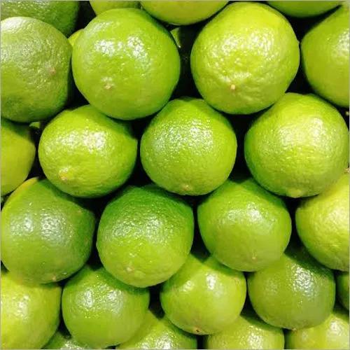 Fresh Lemon at Best Price in Pune, Maharashtra | Nilshantideep Enterprise