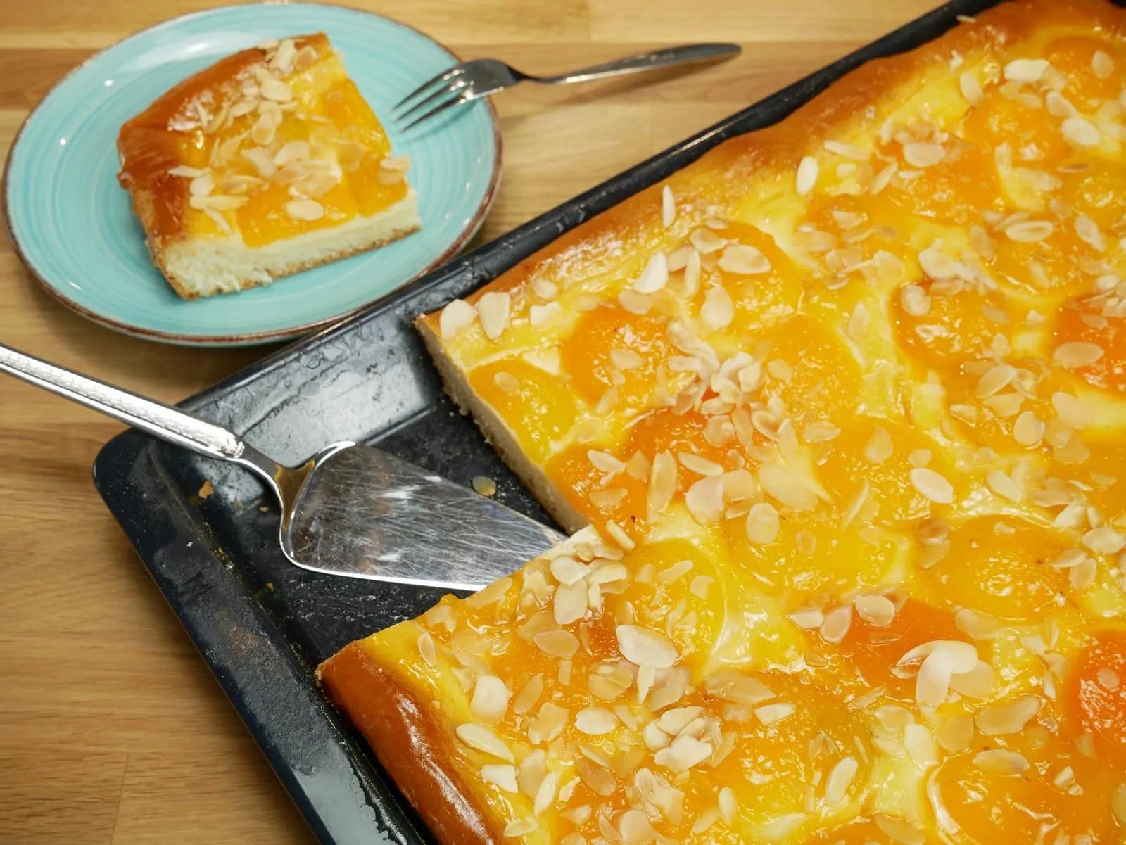 Aprikosenkuchen vom Blech – kochschwabe.de
