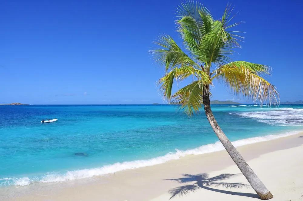 Karibik 20 | Strand mit Palme, Palm Island, St. Vincent &amp; Grenadinen ...