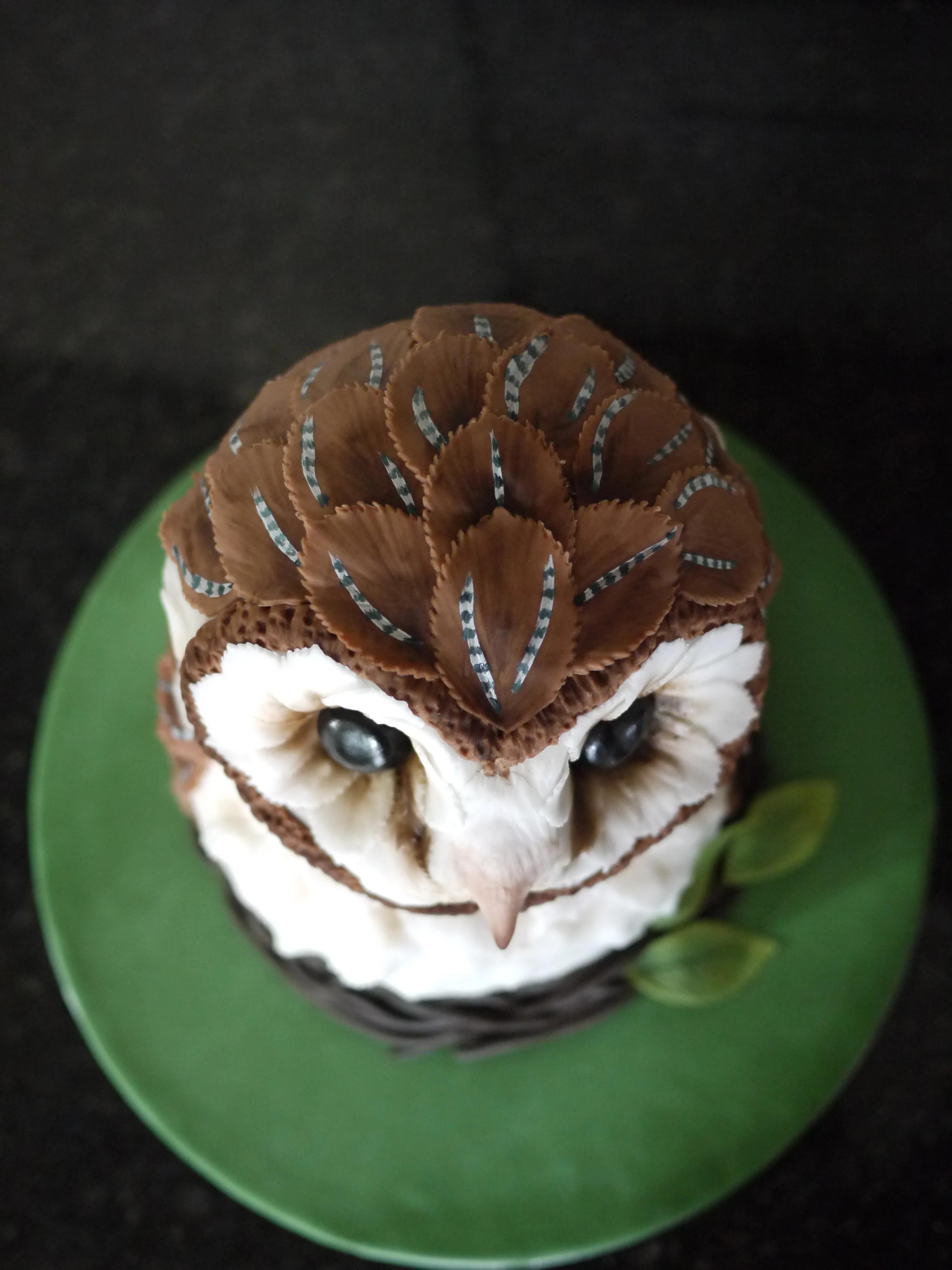 Barn Owl Cake | Gloverly Cupcakes