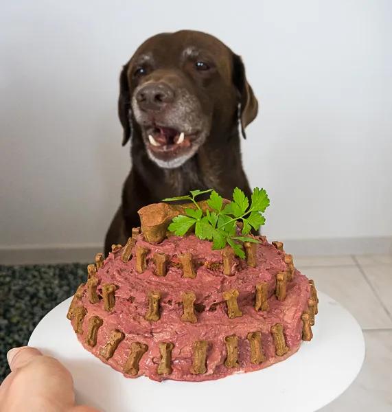 47 Geburtstagskuchen Für Hunde Selber Machen | Soislee