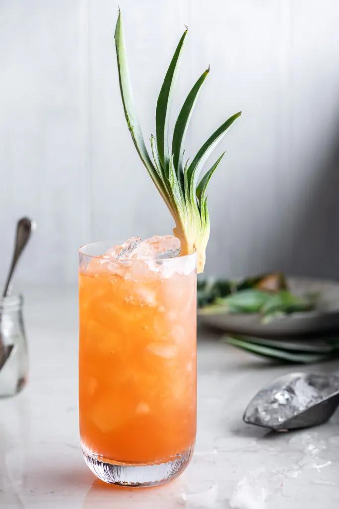 jungle bird cocktail | With Spice