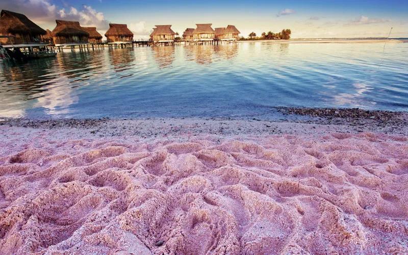 Pinker Strand – So bunt sind die Strände der Karibik