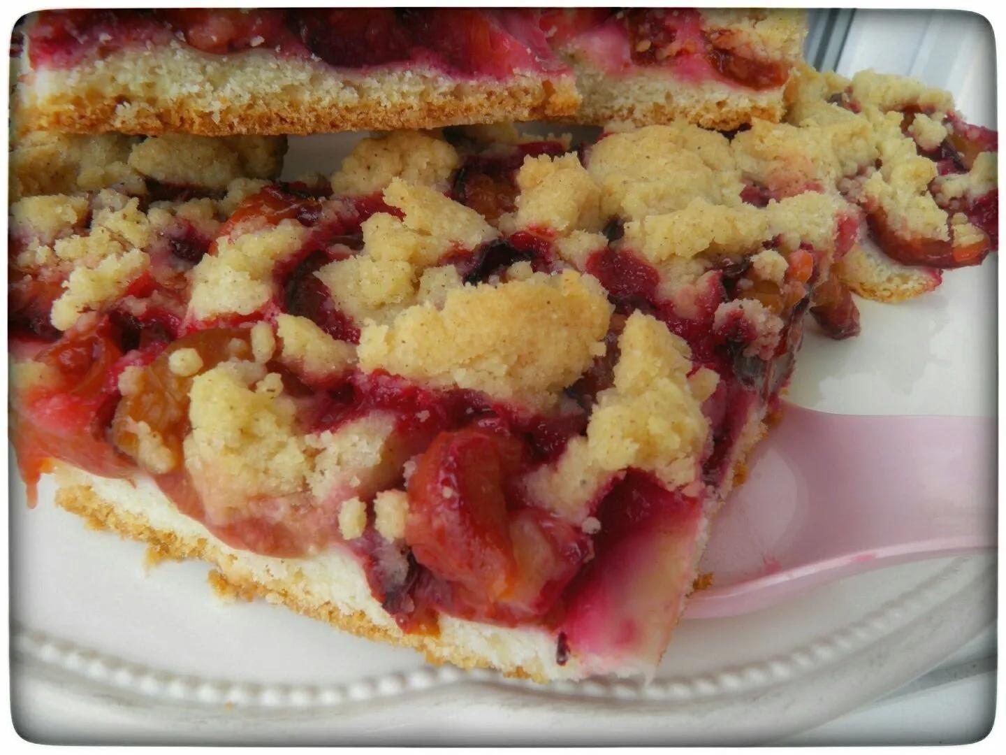 Zwetschgenkuchen mit Quark-Öl Teig und Zimt-Streuseln - wiewowasistgut ...