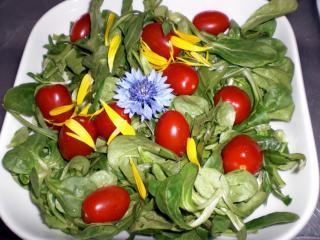 blattsalate mit datteltomaten und blütenblättern
