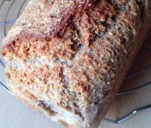 dinkel roggenbrot