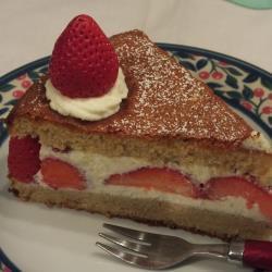 erdbeerkuchen glutenfrei