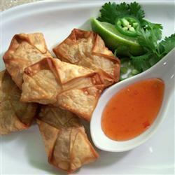 hähnchen wontons auf schnelle art