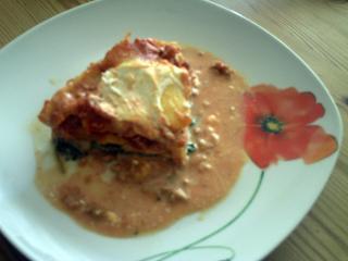 lasagne mit giersch