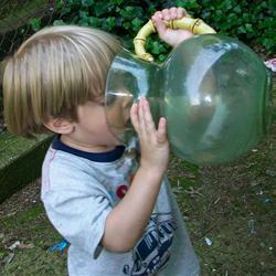 limonade selber machen sommer durstlöscher