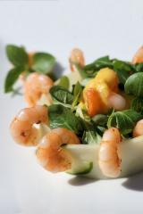 shrimps auf wildkräuter salat