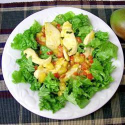 warmer hähnchensalat mit ingwer und mango