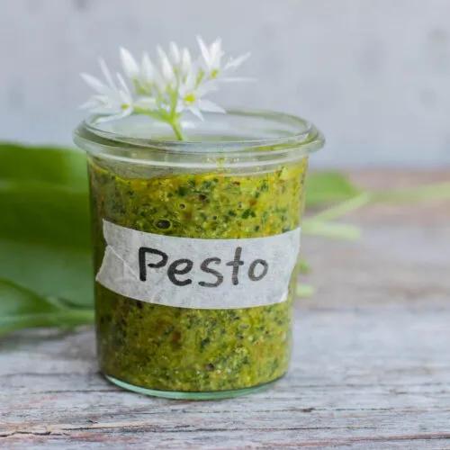 Bärlauch Pesto - Das etwas andere Pesto im Frühling!