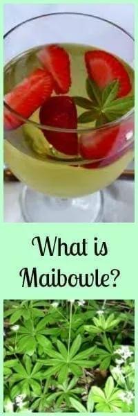 What is Maibowle? A Refreshing Wine Punch from Germany! | A German Girl ...