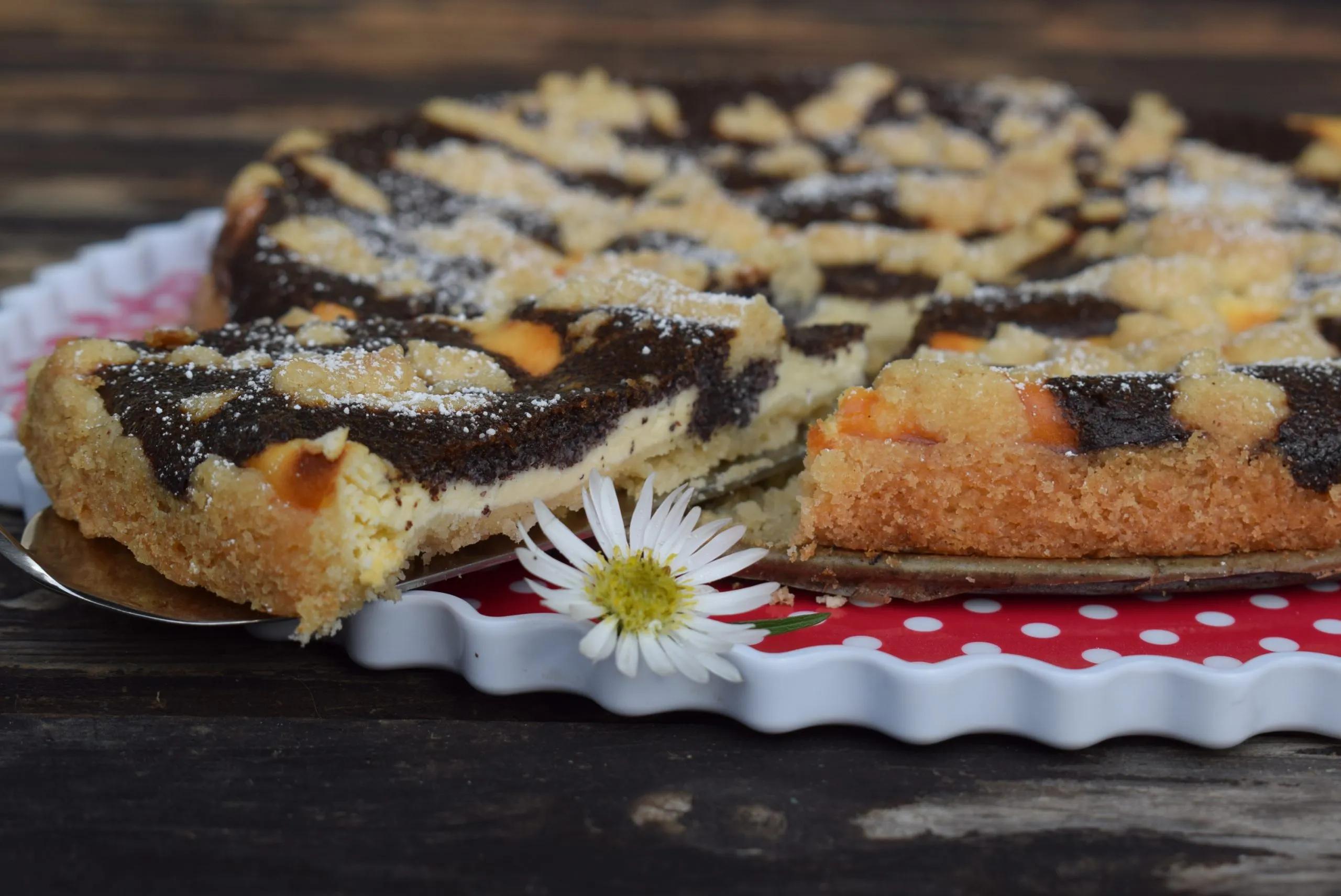 Quark-Mohn-Kuchen - ein Klassiker der immer wieder auf den Tisch kommt ...