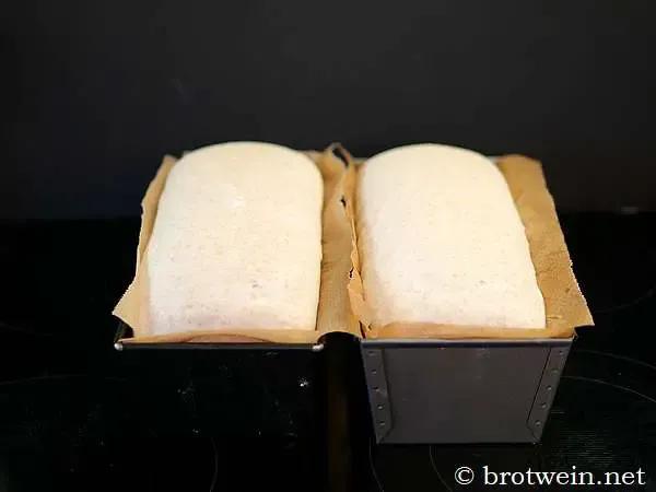 Dreikorntoast - Mehrkorn Toastbrot mit Weizen, Roggen und Dinkel - Brotwein