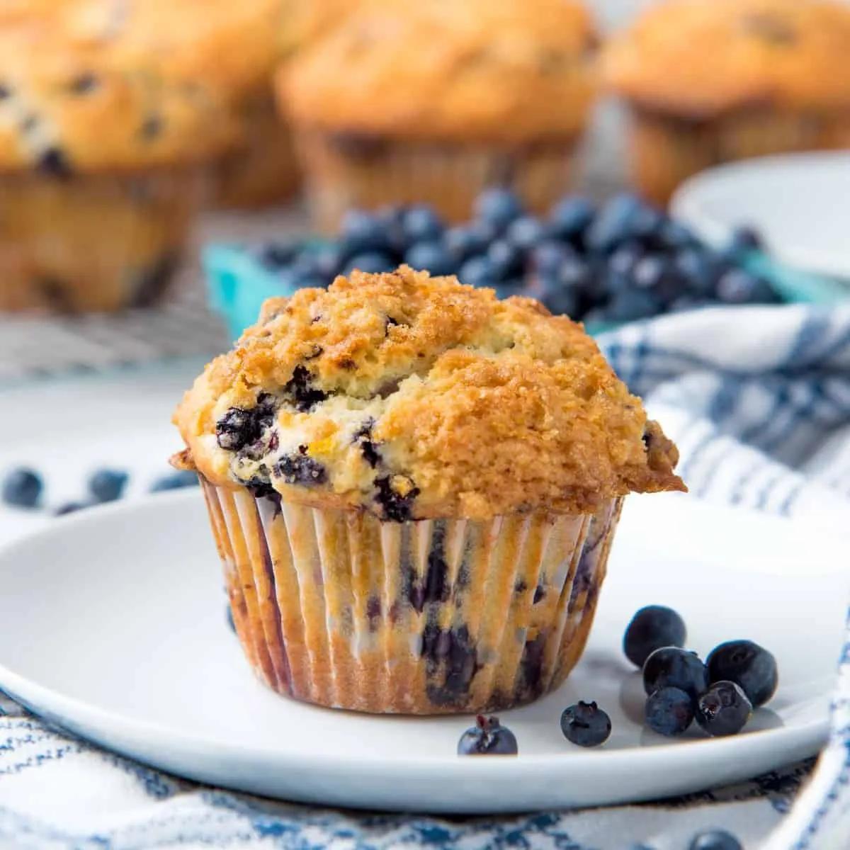 Blueberry Muffins with Streusel Topping - The Flavor Bender