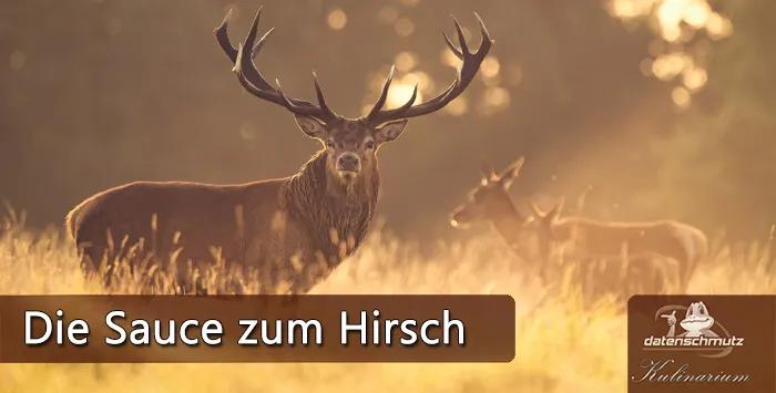 Wildsaison: Hirsch-Filet mit Portwein-Wildsauce