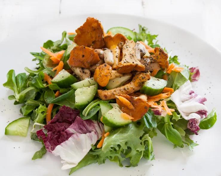 Bunter Salat mit gebratenen Pfifferlingen – The Vegetarian Diaries