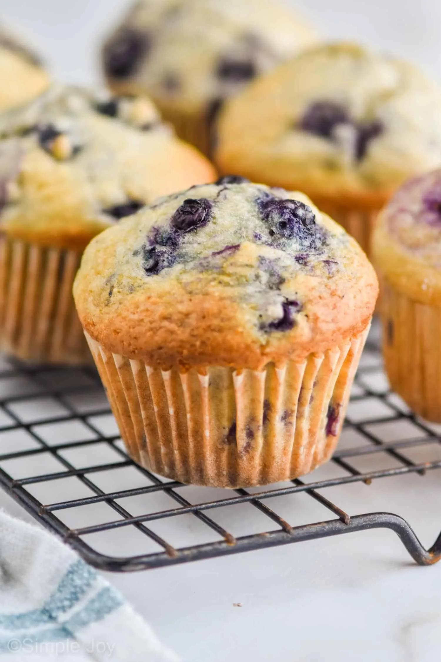 Healthy Blueberry Muffins - Simple Joy